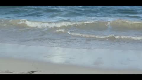 Louis online show from February 3, 2:53 am