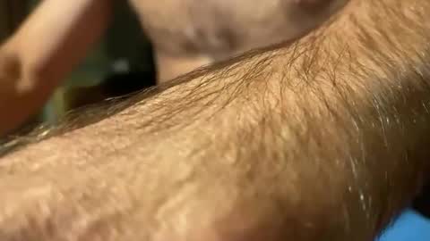 lupushorny online show from April 14, 3:17 am