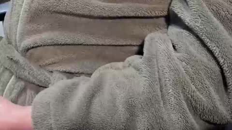 lustgardener67 online show from March 16, 7:40 pm