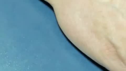 lustgardener67 online show from December 28, 7:11 pm