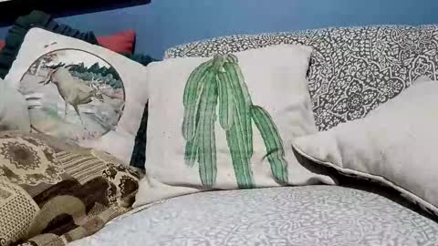 mandrilo7379 online show from February 8, 6:19 am