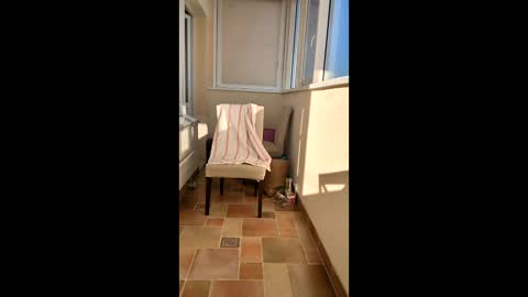 massage_mike online show from March 20, 1:15 pm