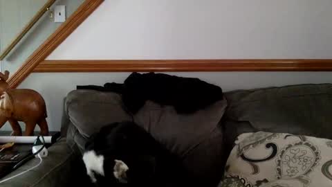 masterdutch44 online show from November 17, 6:55 pm