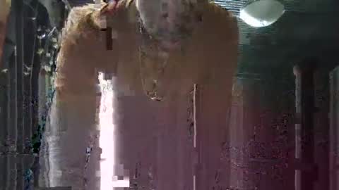 matzs3rvices734353 online show from February 26, 12:14 pm