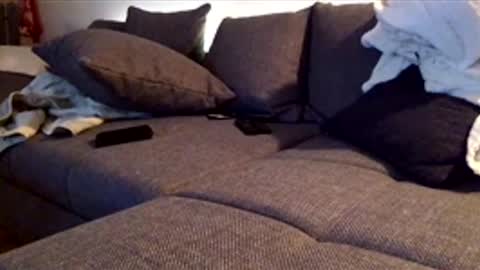 maumau44 online show from December 20, 12:07 am