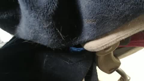 mee9090e900 online show from October 5, 11:58 am