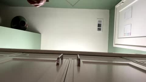 Toro loco online show from September 21, 5:29 am