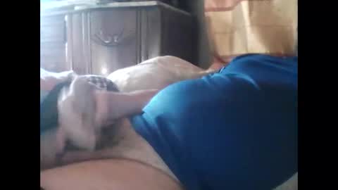 Snapshot of mickael236 chatting on February 1, 12:58 pm mickael236 online show from February 1, 12:58 pm