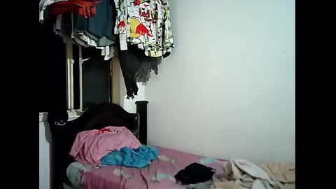 Miguel Angel Santos online show from February 6, 9:39 am