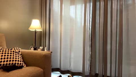 mike21will online show from December 10, 5:55 pm