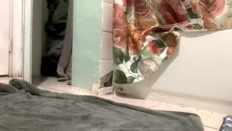 mister_nasty online show from October 12, 6:24 pm