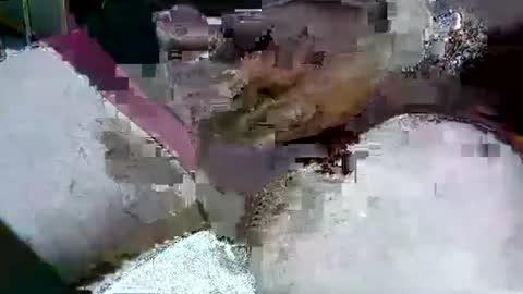 mon_za online show from November 20, 11:09 am