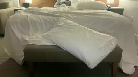 The Beautiful Ones online show from January 11, 5:33 am