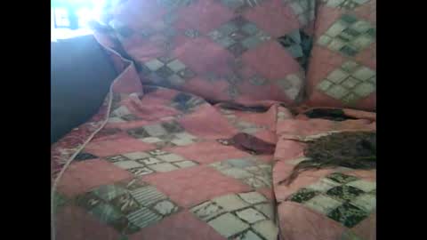 muff3ater online show from November 3, 7:48 pm