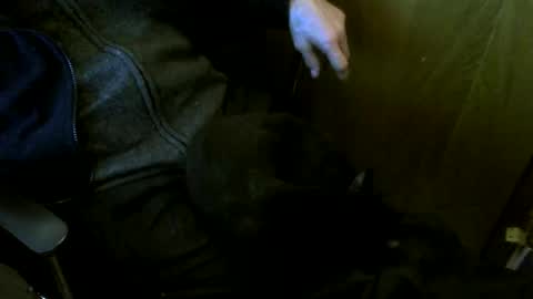 muller520 online show from March 11, 4:25 pm