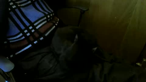 muller520 online show from March 24, 4:34 pm