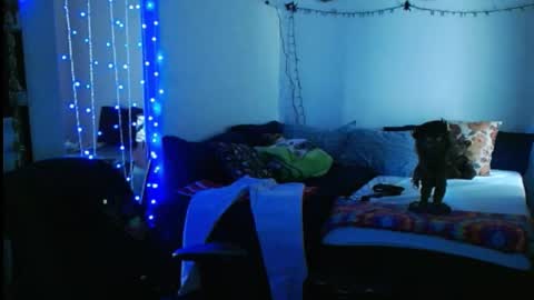 Snapshot of mycock4u247 chatting on February 16, 10:10 pm LA MARIPOSA DE MARICOPA online show from February 16, 10:10 pm