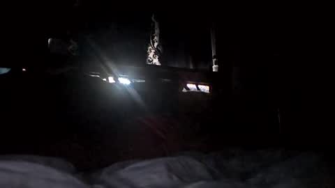 Haven online show from March 1, 7:02 pm