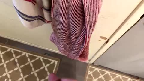 nbarrie98 online show from February 9, 4:18 pm