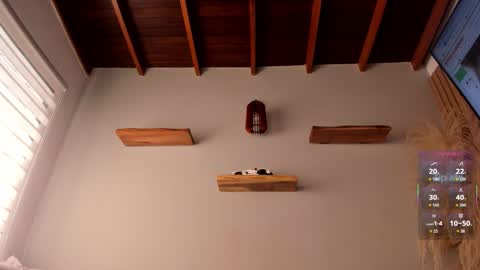 Jordan online show from February 27, 12:39 pm