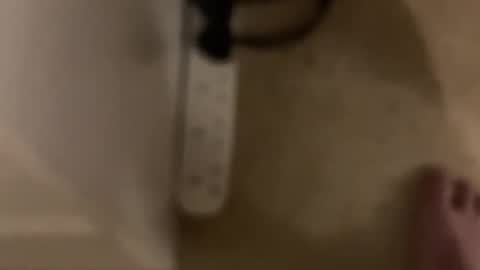 neonknight3 online show from November 5, 10:56 pm