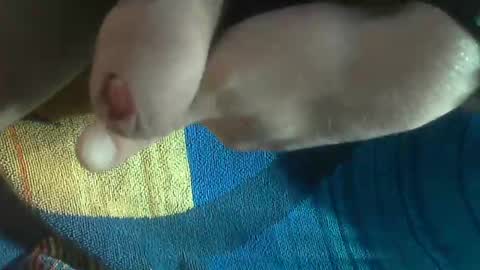 ni983 online show from December 26, 8:18 am