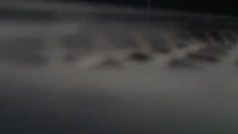 ni983 online show from September 15, 11:00 am