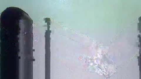 Niles online show from November 7, 6:55 pm