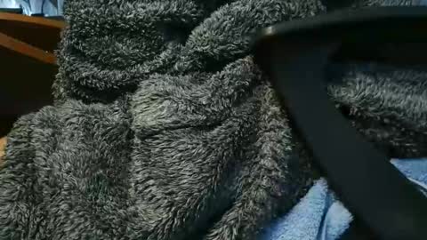 nineinchhard online show from February 5, 3:31 pm