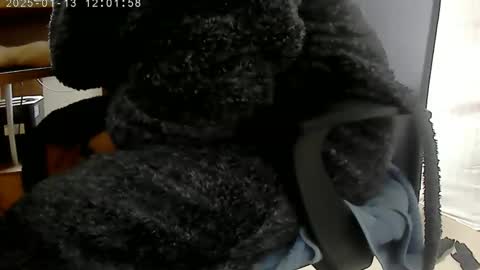 nineinchhard online show from January 13, 12:02 pm