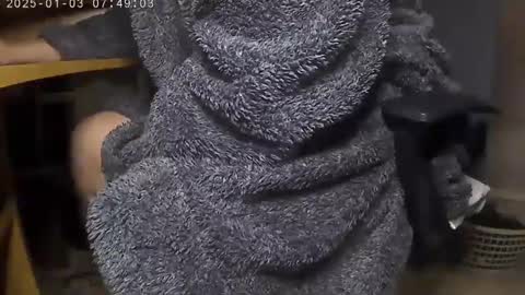 nineinchhard online show from January 3, 7:49 am