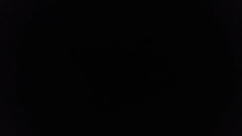 Ninjadance online show from March 8, 1:01 pm