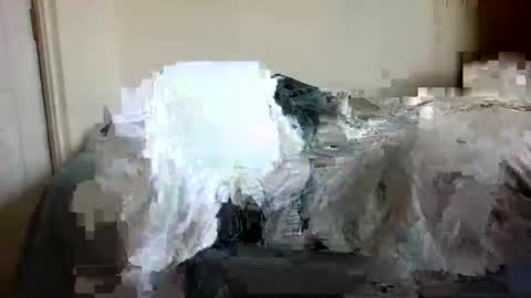 nizer2872870 online show from January 6, 5:06 pm