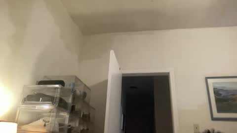 nyc_bk_ online show from February 15, 12:35 pm