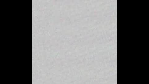 Obsidian stallion online show from October 9, 2:49 am