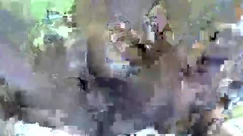 officialbabes if online show from October 25, 7:15 pm