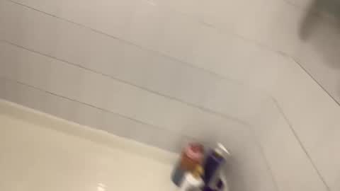 onedayonedollar online show from October 4, 2:49 am