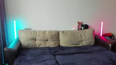 Ostin online show from May 20, 8:43 am