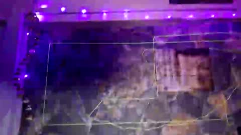 pablouyu online show from January 1, 4:18 am