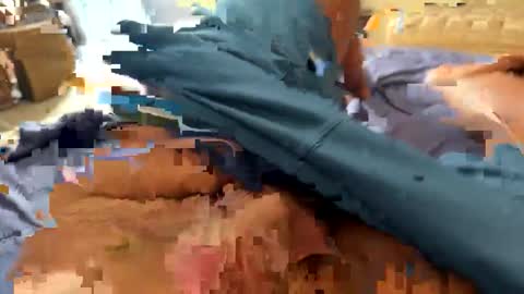 Alone online show from November 17, 8:01 pm