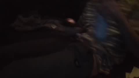 Paolo online show from March 9, 11:21 pm