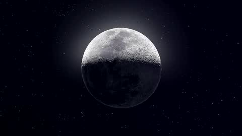 Paris online show from November 8, 10:13 pm