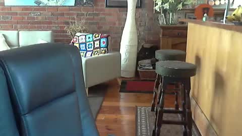 patvac online show from December 29, 12:52 am
