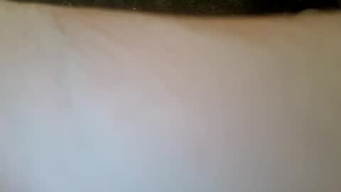 Paw online show from December 30, 12:20 pm