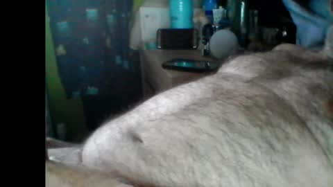 Papabear online show from December 17, 9:28 am