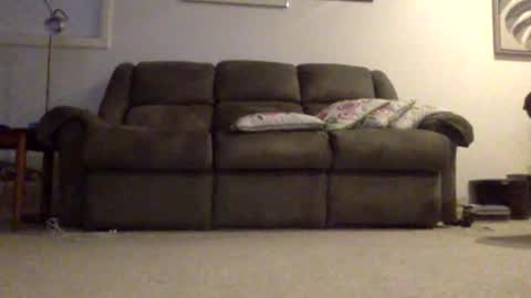 pedro________8 online show from December 16, 2:49 pm