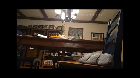 Snapshot of peecocktail chatting on January 16, 5:32 am peecocktail online show from January 16, 5:32 am