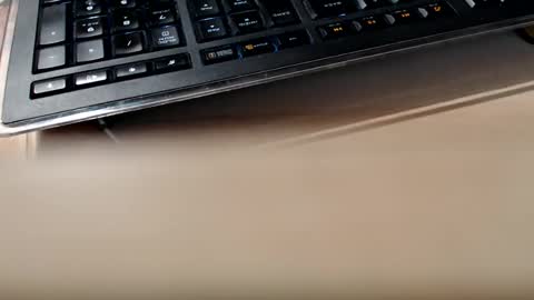 pier49x online show from February 13, 1:50 am