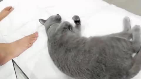 playinwidfire online show from March 8, 11:03 am