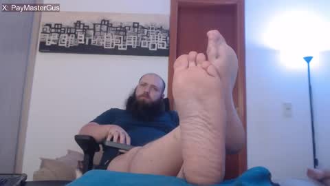 Bear online show from November 11, 10:48 pm